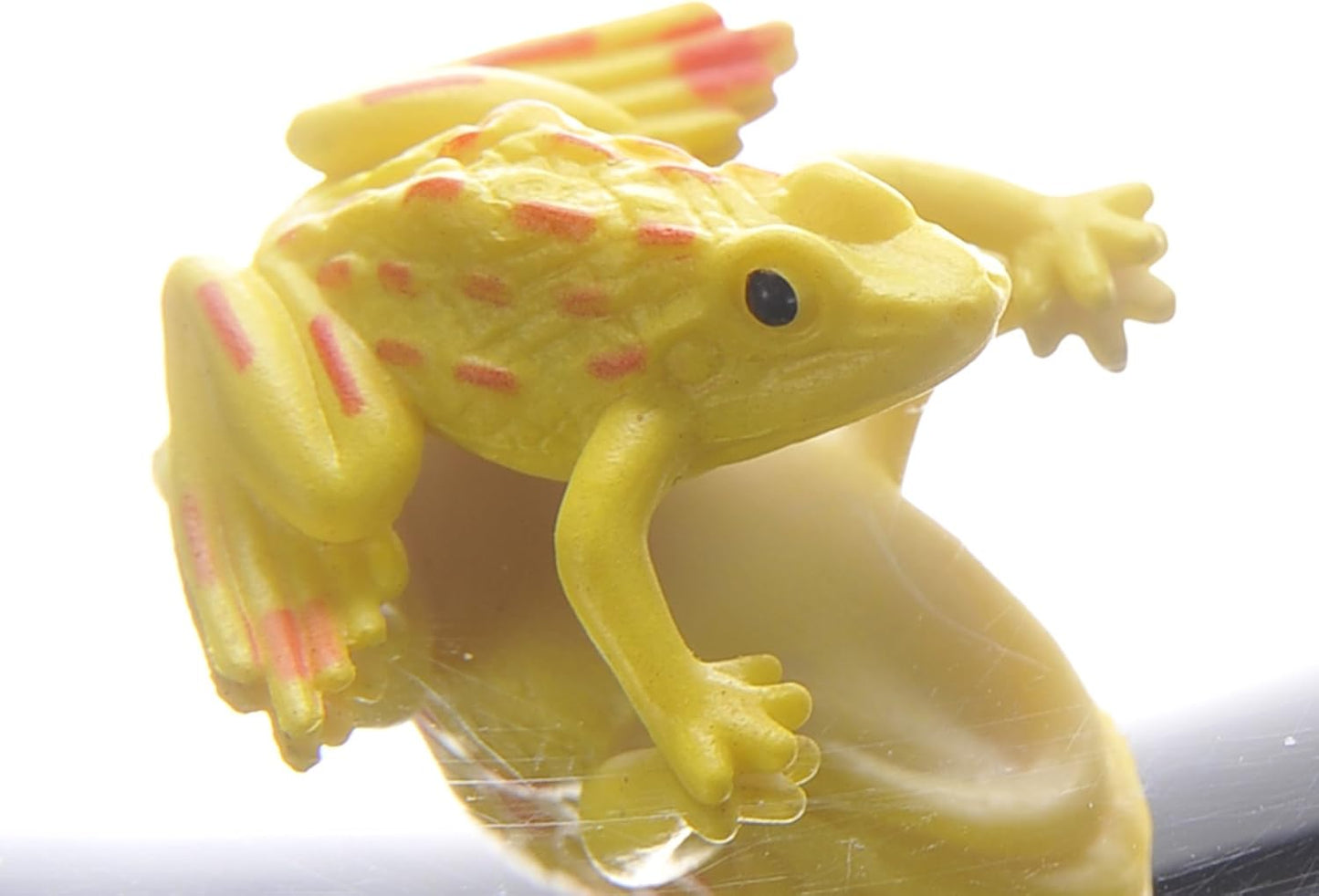 6" 3-D Mirascope, Illusion Maker | Optical Illusions | 3-D Effect Toy