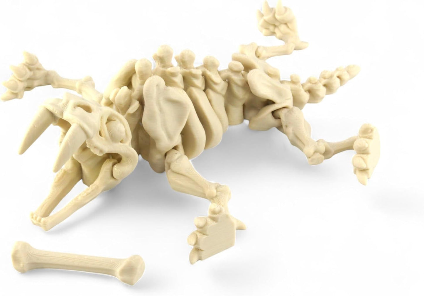 PowerTRC 3D Printed Skeleton Sabertooth Tiger – Prehistoric Collectible Articulating Mammals 3D Figurine Desk Decoration for Teens and Adults (Bone White)