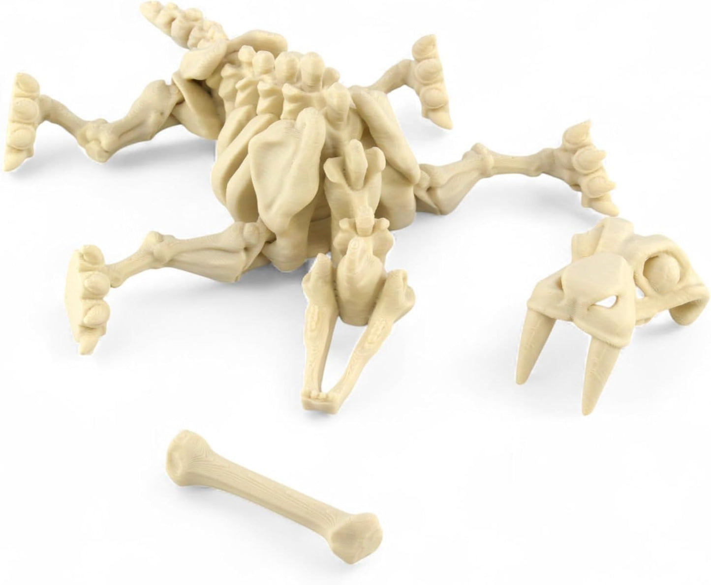 PowerTRC 3D Printed Skeleton Sabertooth Tiger – Prehistoric Collectible Articulating Mammals 3D Figurine Desk Decoration for Teens and Adults (Bone White)