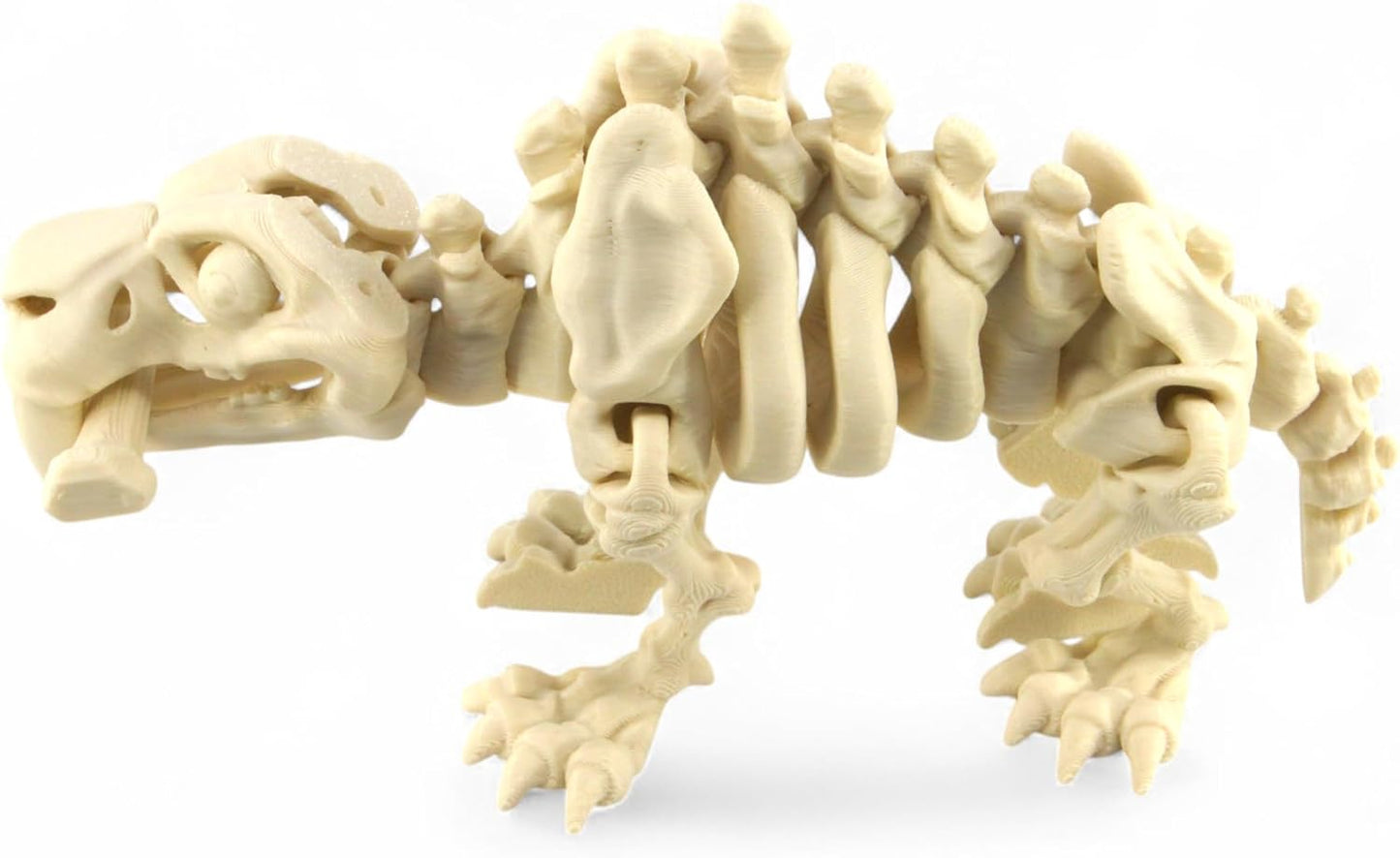 PowerTRC 3D Printed Skeleton Sabertooth Tiger – Prehistoric Collectible Articulating Mammals 3D Figurine Desk Decoration for Teens and Adults (Bone White)