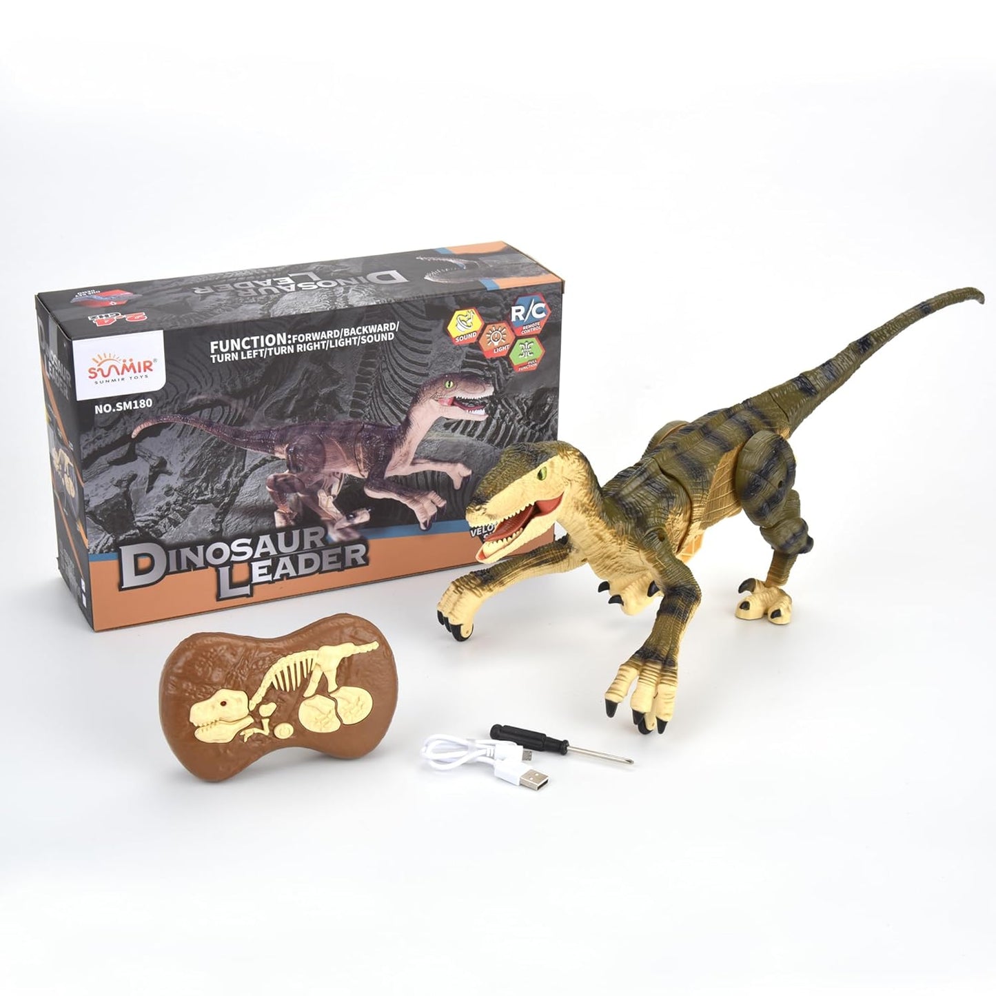Remote Control Dinosaur for Kids Ages 3 4 5 6 7 8 9 10, RC LED Roaring Sound Rechargeable USB Port Realistic Outdoor 2.4G RC Dinosaur Toys Gifts for Boys Kids 3-10 Years Old Velociraptor Toys, Gray