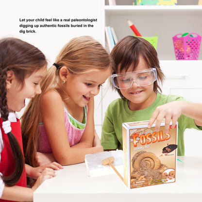 Fossile DIG Kit, Dinosaur Digging Kids Activities