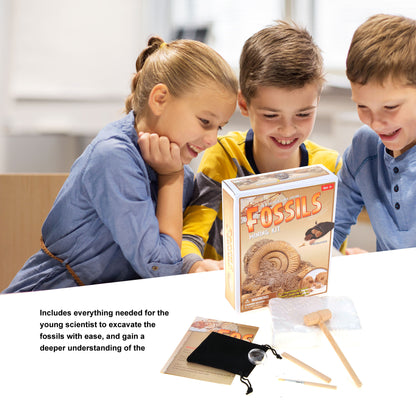 Fossile DIG Kit, Dinosaur Digging Kids Activities