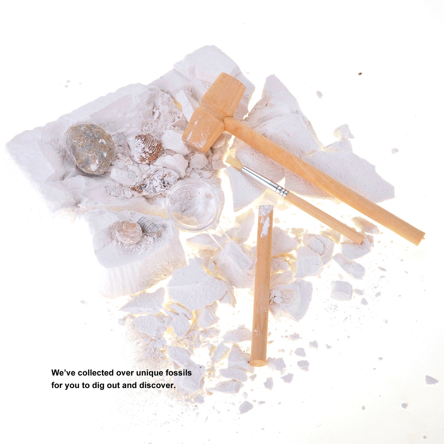 Fossile DIG Kit, Dinosaur Digging Kids Activities