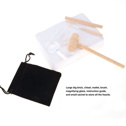 Fossile DIG Kit, Dinosaur Digging Kids Activities