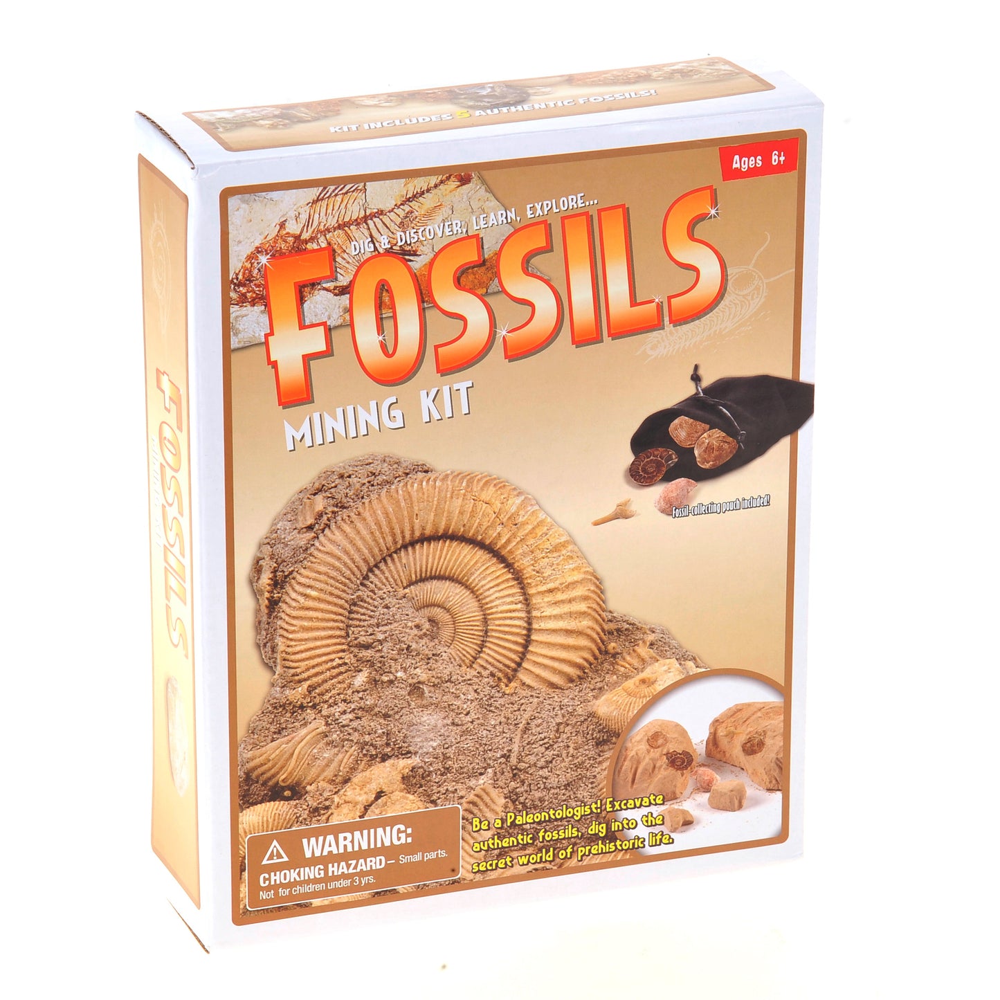Fossile DIG Kit, Dinosaur Digging Kids Activities