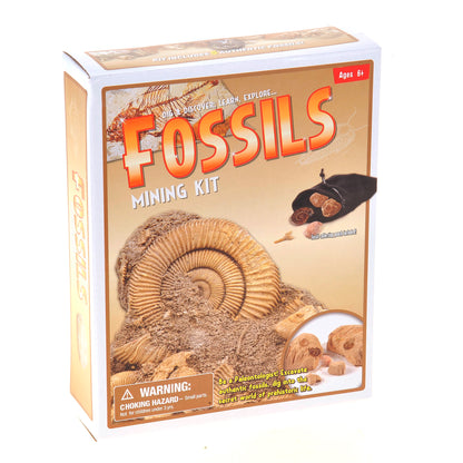 Fossile DIG Kit, Dinosaur Digging Kids Activities