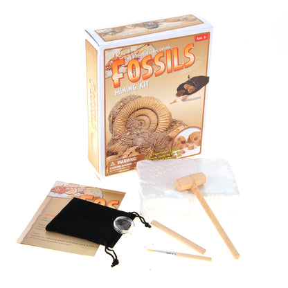 Fossile DIG Kit, Dinosaur Digging Kids Activities