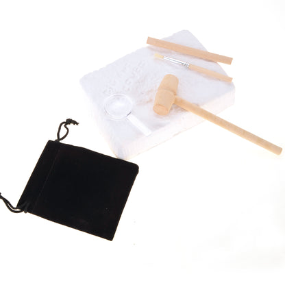 Fossile DIG Kit, Dinosaur Digging Kids Activities