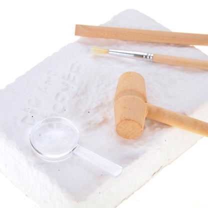 Fossile DIG Kit, Dinosaur Digging Kids Activities