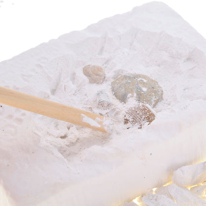 Fossile DIG Kit, Dinosaur Digging Kids Activities