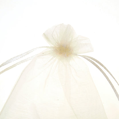 100 Pack 4x6 Inch Mini Sheer Drawstring Transparent Bag