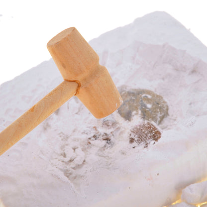 Fossile DIG Kit, Dinosaur Digging Kids Activities