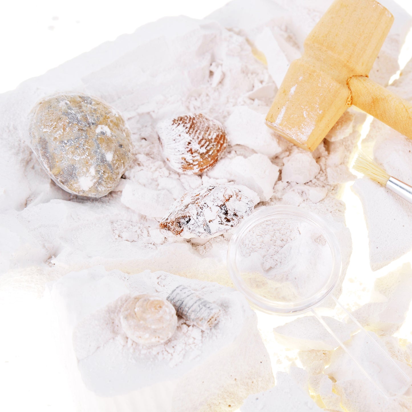 Fossile DIG Kit, Dinosaur Digging Kids Activities