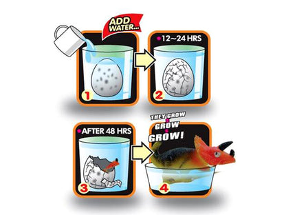 Magic Hatching Growing Dinosaur Egg 12pcs is available for purchase in increments of 1