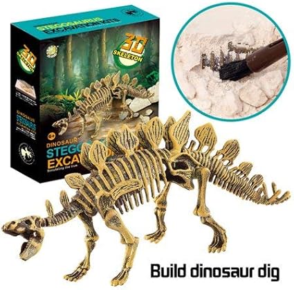 PowerTRC Stegosaurus Dinosaur Skeleton Excavation Kit | Dino Fossil Science Kit for Kids with Excavation Tools | Fun STEM Activity & Gift for Dinosaur Enthusiasts