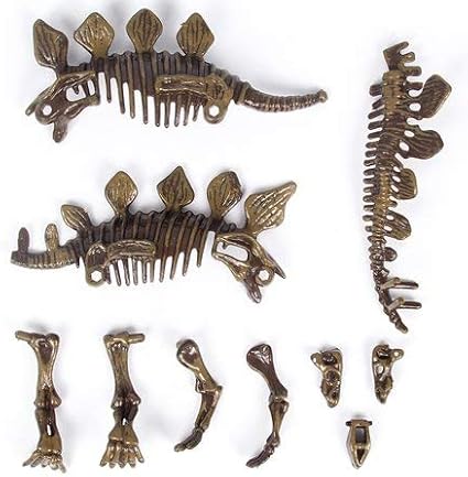 PowerTRC Stegosaurus Dinosaur Skeleton Excavation Kit | Dino Fossil Science Kit for Kids with Excavation Tools | Fun STEM Activity & Gift for Dinosaur Enthusiasts