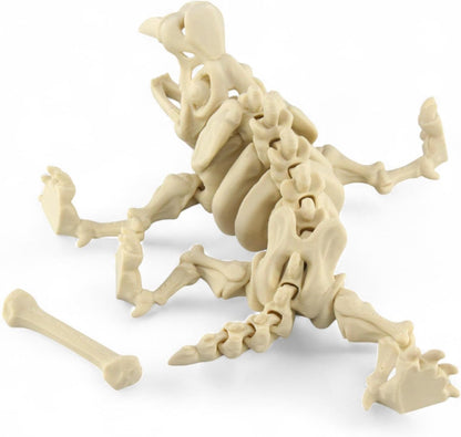 PowerTRC 3D Printed Skeleton Sabertooth Tiger – Prehistoric Collectible Articulating Mammals 3D Figurine Desk Decoration for Teens and Adults (Bone White)