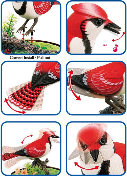 Singing & Chirping Bird in Cage, Realistic Sounds & Movements, Sound Activated, Battery Operated, Great Desk and Room Accessory, Pet Caged Bird Toy (10” x 7”)
