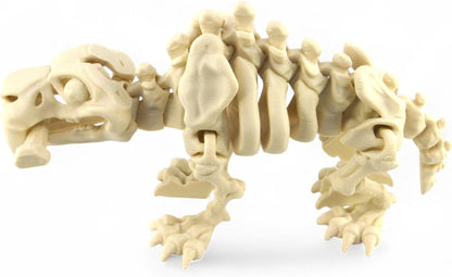 PowerTRC 3D Printed Skeleton Sabertooth Tiger – Prehistoric Collectible Articulating Mammals 3D Figurine Desk Decoration for Teens and Adults (Bone White)