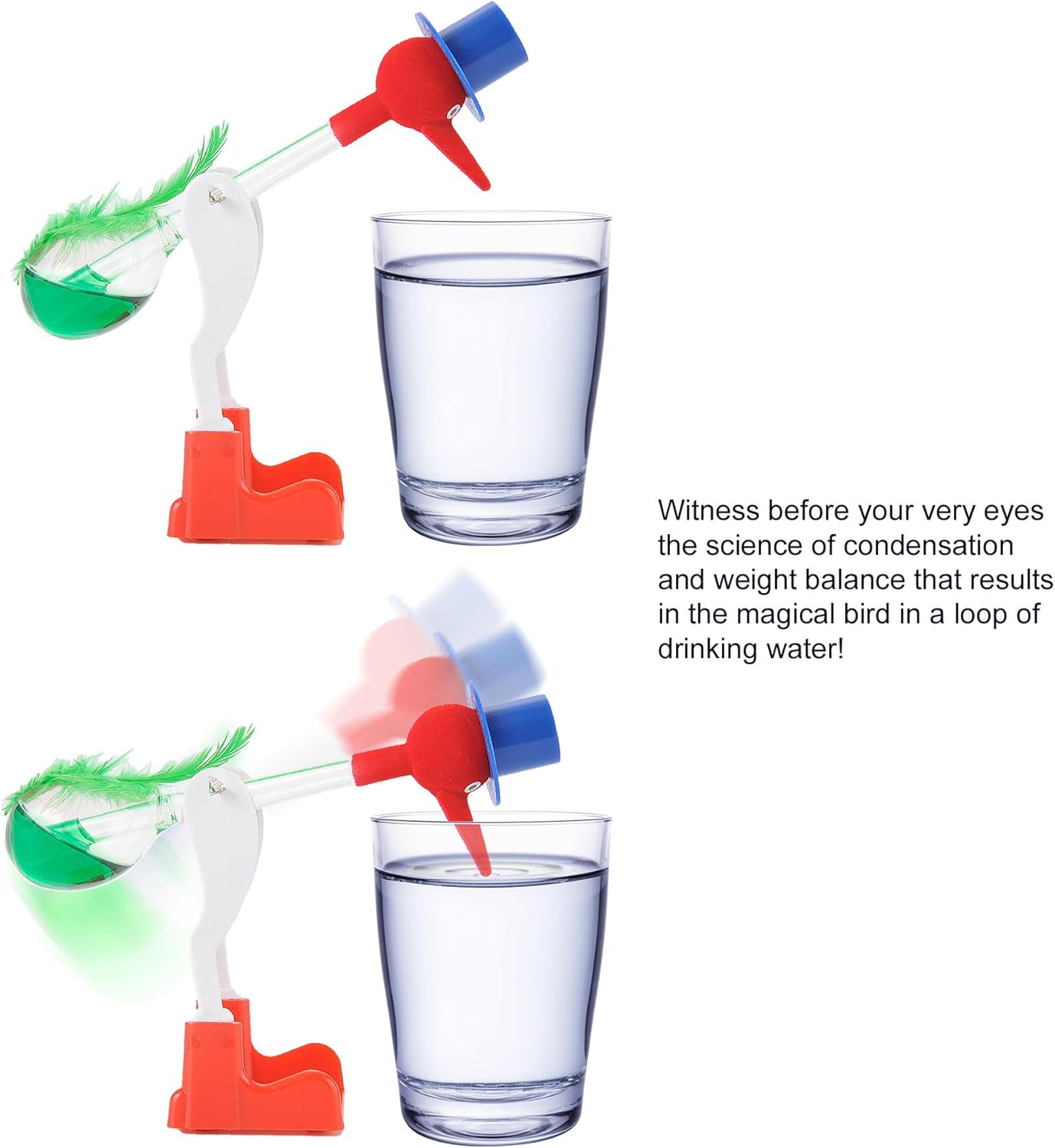 Magic Drinking Bird (Green)