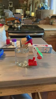 Magic Drinking Bird (Red)